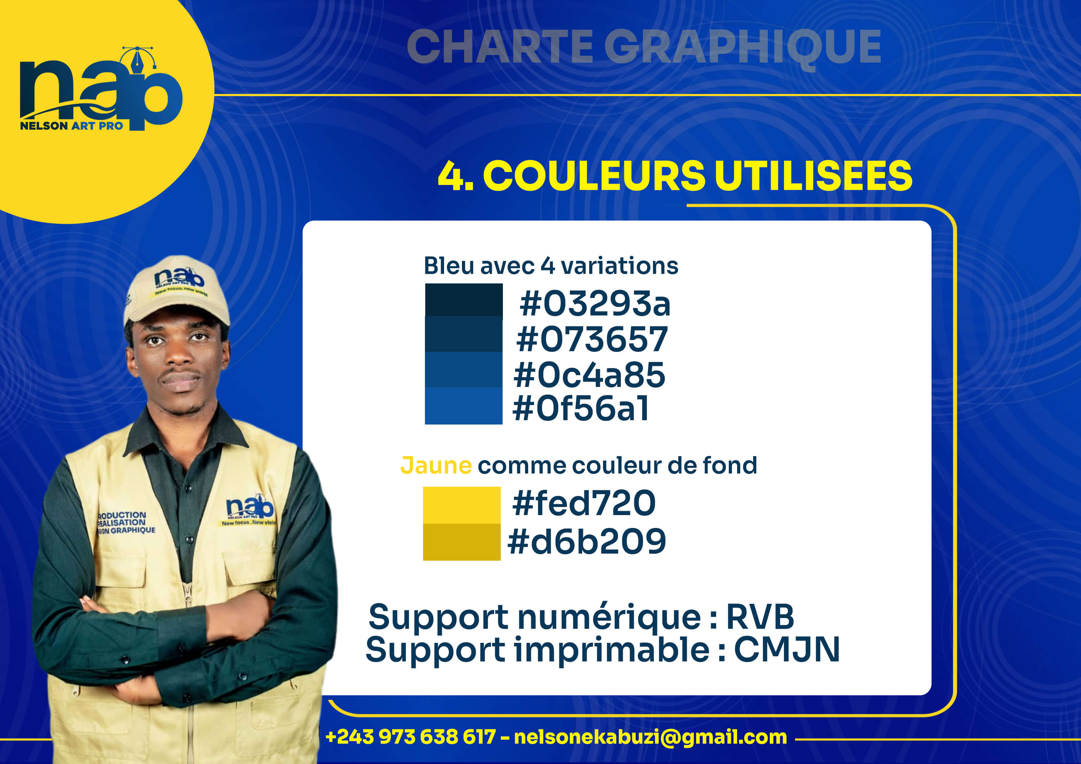 Charte graphique NAP - Couleurs